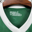Camisa Palmeiras 25/26 Verde – Versão Torcedor